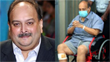Mehul Choksi arrested in Belgium on India’s extradition request: Sources